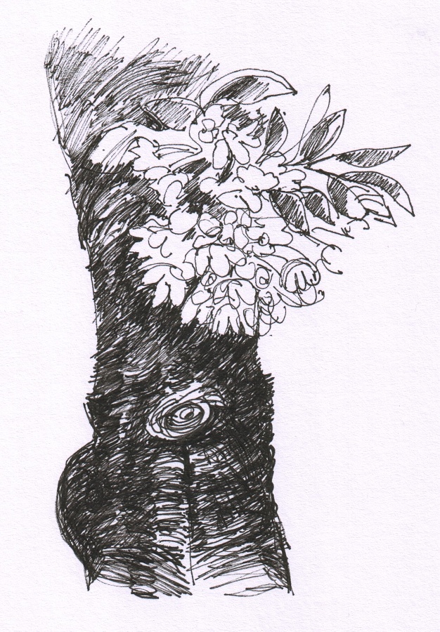 Ilustrácia do knihy Kým slnko nezapadne, perokresba, Ján Čalovka